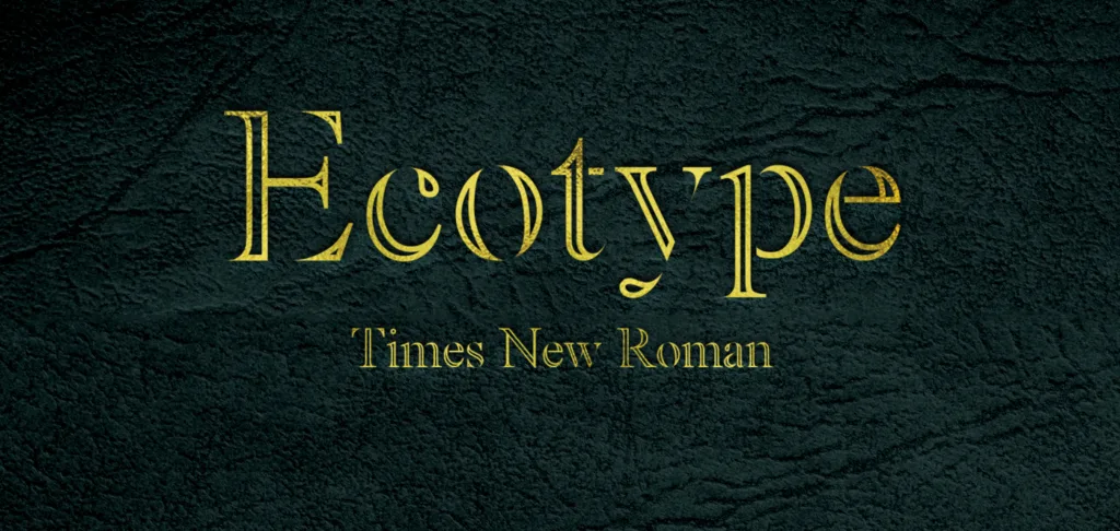 Times New Eco