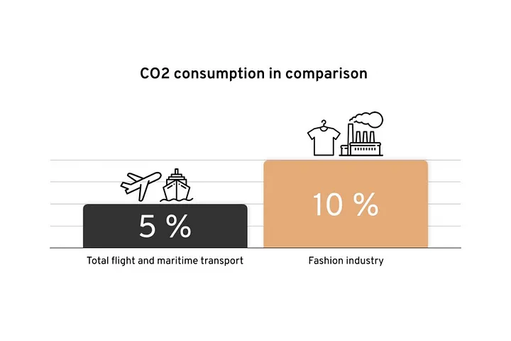 Minimizing the Environmental Impact of Fast Fashion - co2 comsumption